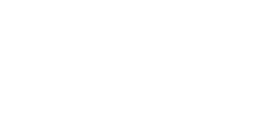 logo PISNSS En białe